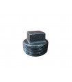 Tapatornillo Fierro Negro NPT 150 LB