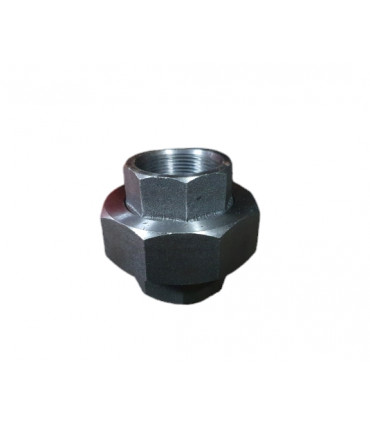 Union Americana Acero Carbono NPT 3000 LB